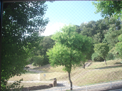 MiCD Symposium 写真1